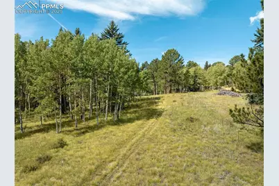 284 County Road 511 Road, Divide, CO 80814 - Photo 39