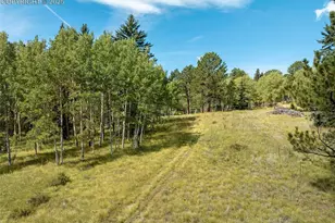284 County Road 511 Rd, Divide, CO 80814 - Photo 39
