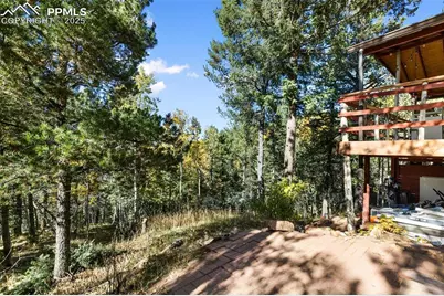 679 Calcite Drive, Divide, CO 80814 - Photo 5