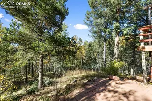 679 Calcite Dr, Divide, CO 80814 - Photo 25
