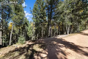 679 Calcite Dr, Divide, CO 80814 - Photo 5