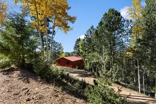 679 Calcite Dr, Divide, CO 80814 - Photo 31