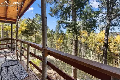 679 Calcite Drive, Divide, CO 80814 - Photo 27