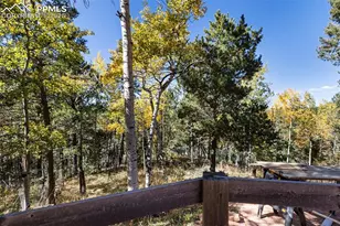 679 Calcite Dr, Divide, CO 80814 - Photo 29