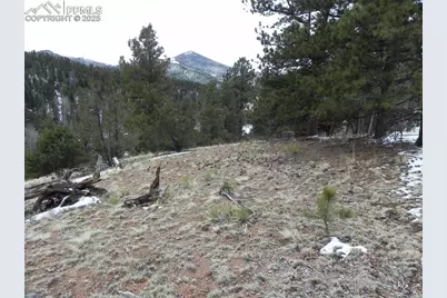 153 Idlewild Drive, Cripple Creek, CO 80813 - Photo 7