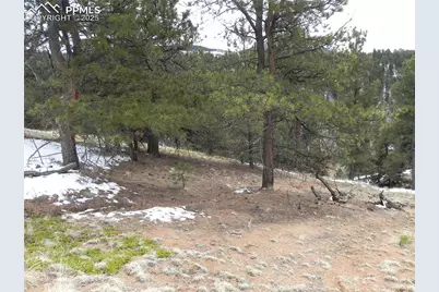 153 Idlewild Drive, Cripple Creek, CO 80813 - Photo 11