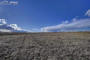 9420 Mulberry Rd, Calhan, CO 80808 - Photo 37