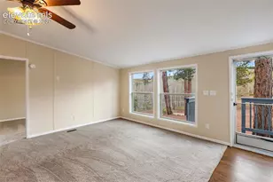 100 Wolverine Dr, Florissant, CO 80816 - Photo 13