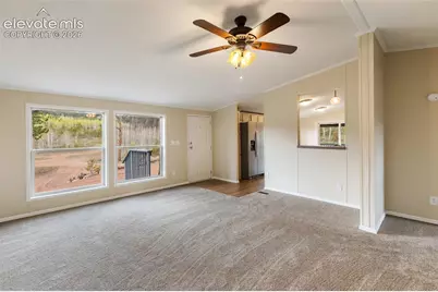 100 Wolverine Drive, Florissant, CO 80816 - Photo 15
