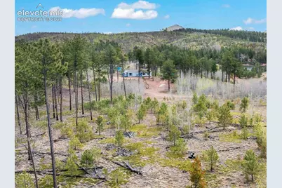 100 Wolverine Drive, Florissant, CO 80816 - Photo 11