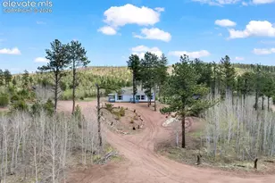 100 Wolverine Dr, Florissant, CO 80816 - Photo 1