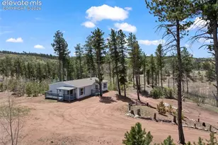 100 Wolverine Dr, Florissant, CO 80816 - Photo 47