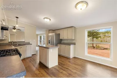 100 Wolverine Drive, Florissant, CO 80816 - Photo 19