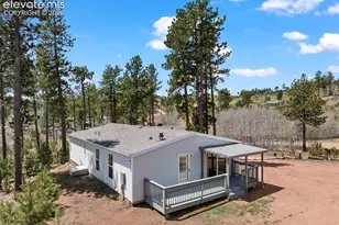 100 Wolverine Dr, Florissant, CO 80816 - Photo 45