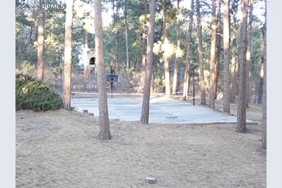 19550 W Top O The Moor Drive, Monument, CO 80132 - Photo 31