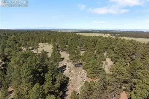 18673 N Elbert Rd, Elbert, CO 80106 - Photo 25