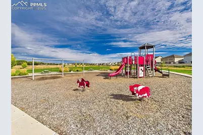 10797 Hidden Prairie Parkway, Fountain, CO 80817 - Photo 45