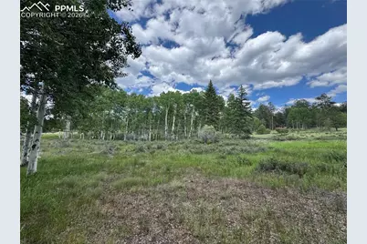 117 Vagabond Creek Terrace, Lake George, CO 80827 - Photo 7