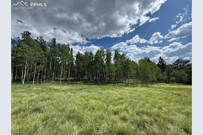 117 Vagabond Creek Terrace, Lake George, CO 80827 - Photo 3