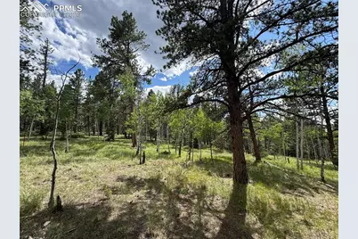 117 Vagabond Creek Terrace, Lake George, CO 80827 - Photo 9