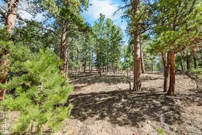 156 E Ridge Drive, Woodland Park, CO 80863 - Photo 3