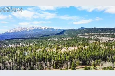 156 E Ridge Drive, Woodland Park, CO 80863 - Photo 11