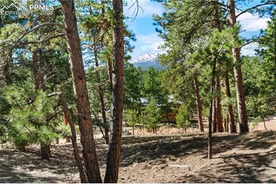 156 E Ridge Drive, Woodland Park, CO 80863 - Photo 7