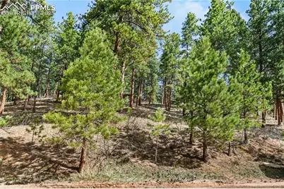 156 E Ridge Drive, Woodland Park, CO 80863 - Photo 5