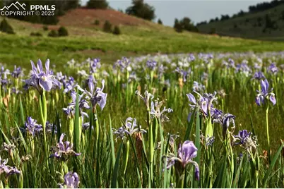 Tbd Highway 9, Guffey, CO 80820 - Photo 13