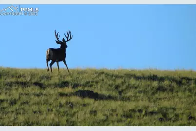 Tbd Highway 9, Guffey, CO 80820 - Photo 9