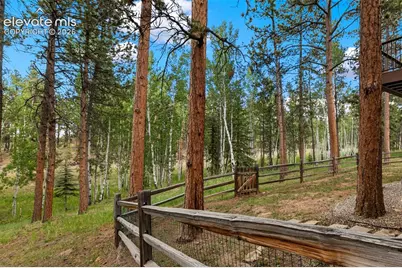 590 Pembrook Drive, Woodland Park, CO 80863 - Photo 41