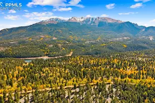 2558 Co Rd 28, Woodland Park, CO 80863 - Photo 43