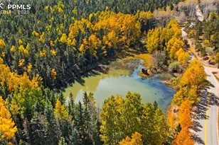 2558 Co Rd 28, Woodland Park, CO 80863 - Photo 3