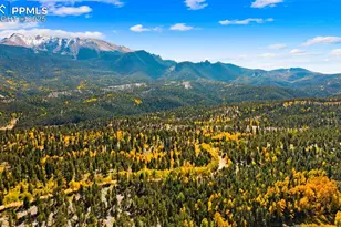 2558 Co Rd 28, Woodland Park, CO 80863 - Photo 49