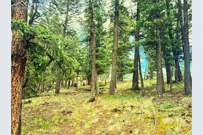 179 Kenosha Way, Florissant, CO 80816 - Photo 1