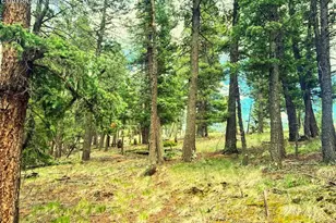 179 Kenosha Way, Florissant, CO 80816 - Photo 1