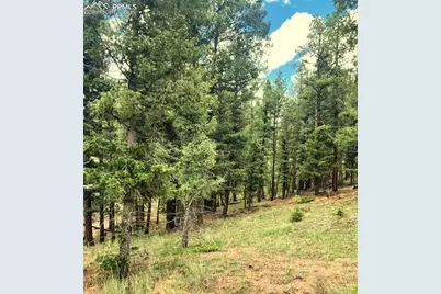 179 Kenosha Way, Florissant, CO 80816 - Photo 5