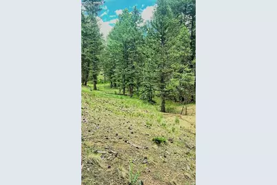 179 Kenosha Way, Florissant, CO 80816 - Photo 3