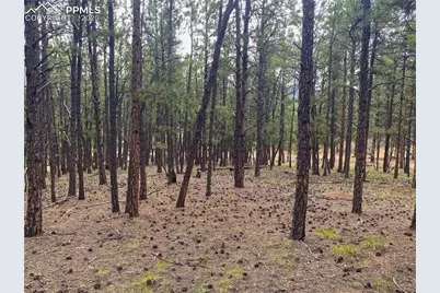 60 Pickens Road, Florissant, CO 80816 - Photo 7