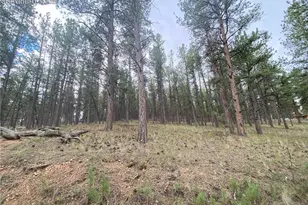 60 Pickens Rd, Florissant, CO 80816 - Photo 1