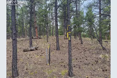 60 Pickens Road, Florissant, CO 80816 - Photo 3