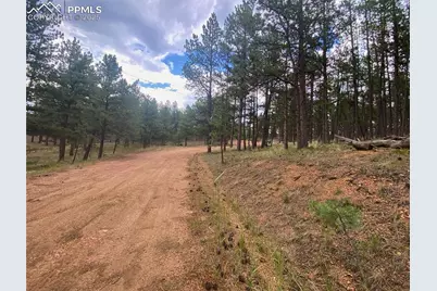 60 Pickens Road, Florissant, CO 80816 - Photo 9