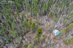 2747 Co Rd 61, Cripple Creek, CO 80813 - Photo 33