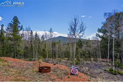 2747 County Road 61, Cripple Creek, CO 80813 - Photo 31