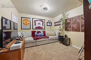 6776 Silver Star Ln, Colorado Springs, CO 80923 - Photo 39