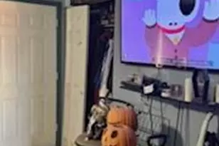 4550 London Ln, Colorado Springs, CO 80916 - Photo 29