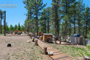 897 Fossil Creek Rd, Florissant, CO 80816 - Photo 37