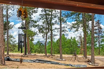 897 Fossil Creek Road, Florissant, CO 80816 - Photo 39