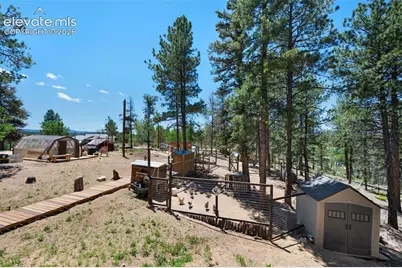 897 Fossil Creek Road, Florissant, CO 80816 - Photo 33