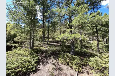 210 Waterfall Loop, Manitou Springs, CO 80829 - Photo 11